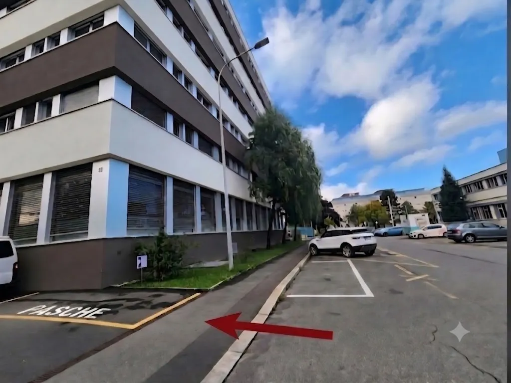 Parkplatz « Pasche »