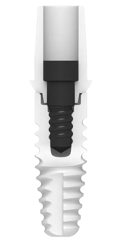 Schnittansicht des Keramikimplantats ZERAMEX XT und seiner internen Schraube.